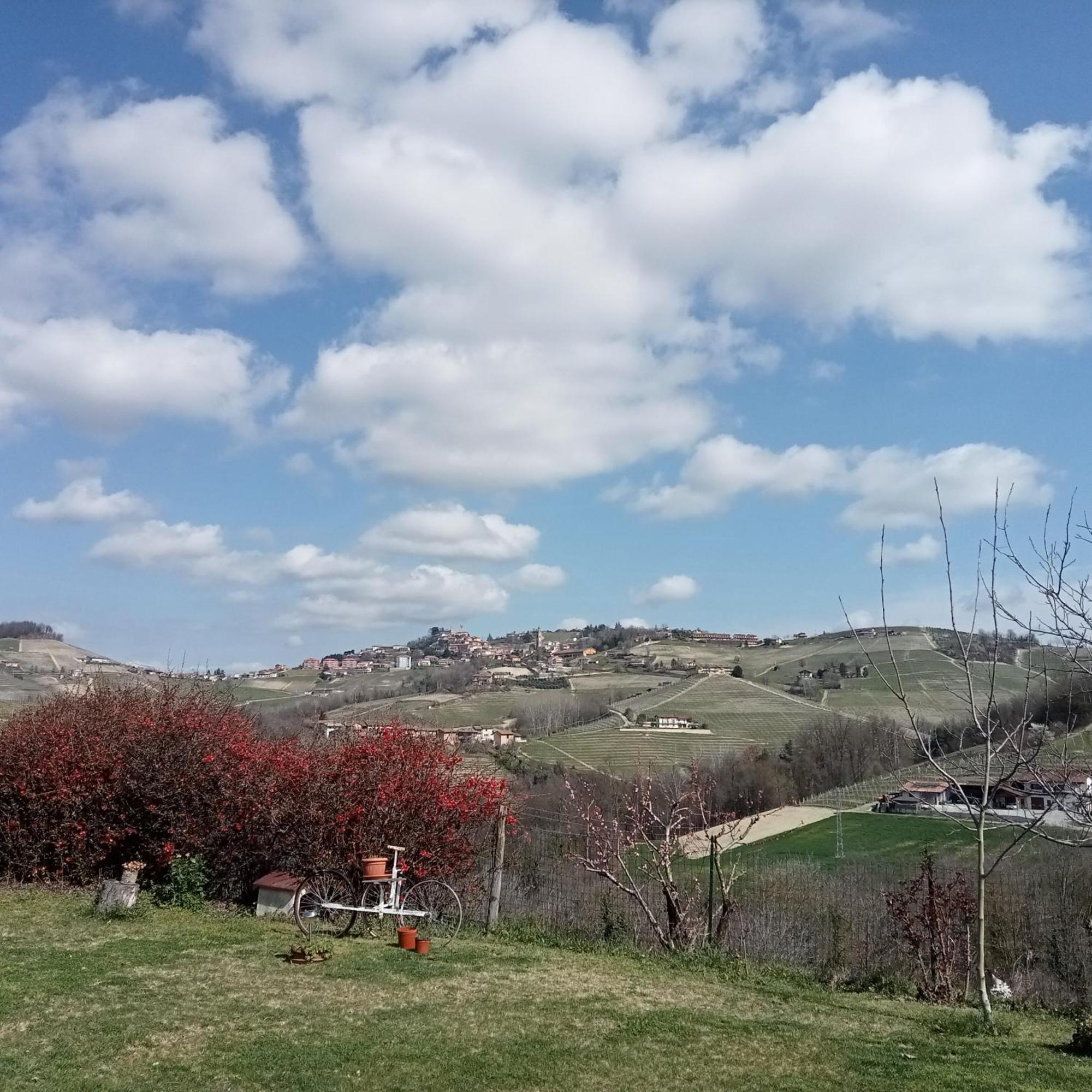 Agriturismo Bric Di Gai Monforte dʼAlba الغرفة الصورة